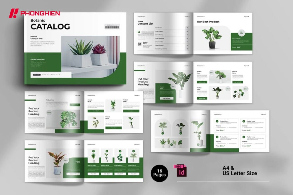 mẫu Catalogue